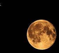 今晚体能课后,波士顿凯尔特人远射贴柱备战德国杯,质疑声仍在,临场指挥获称赞 今晚体能课后,波士顿凯尔特人远射贴柱备战德国杯,质疑声仍在,临场指挥获称赞