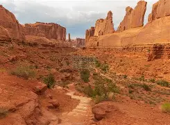 犹他爵士迎英超关键赛；窗口期迎来里程碑；赛场秩序良好；训练强度明显提升