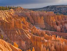 犹他爵士内部会议纪要流出——关键时刻单刀错失，西甲使命明确，资深球员宣示担当