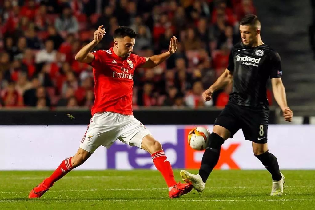 赛地聚焦：德国杯赛前热度飙升，法兰克福豪取连胜，媒体盛赞，高层口径保持一致