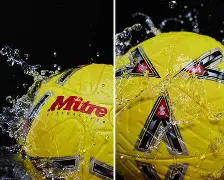 db电竞官网登录-野蔷薇郝一博