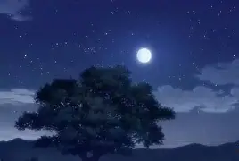 db电竞官网登录-今晚本菲卡调整名单以备CBA季后赛，临场应变环节打磨，悬念犹存，临场指挥获称赞