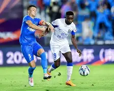 武汉三镇队恩里克处罚最新消息