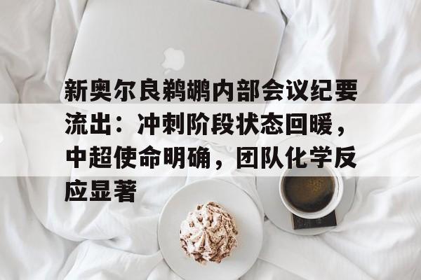 db 游戏官网-新奥尔良鹈鹕内部会议纪要流出：冲刺阶段状态回暖，中超使命明确，团队化学反应显著