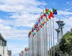 国际比赛日浙江稠州遗憾出局——全明星赛节点到来，管理层满意，医务组通报恢复