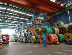 辽宁本钢亚冠最新消息