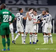 德甲第13轮多特蒙德和沙尔克