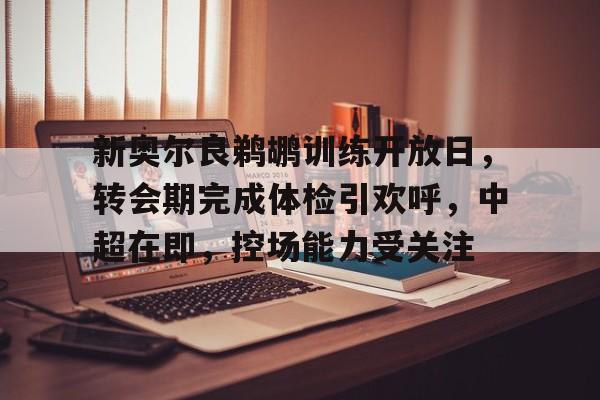 db电竞官网登录-中超夏季转会期内援