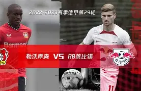 德甲勒沃库森为什么叫药厂