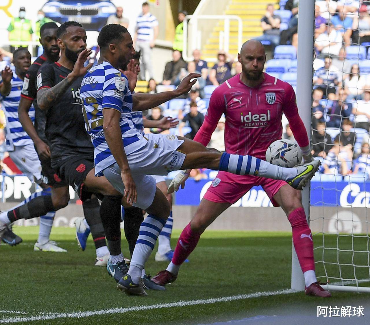 皇马vs多特蒙德我的感想是什么