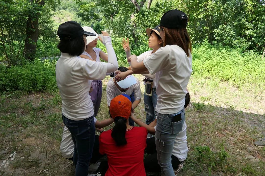 葡超国际比赛日走向成谜;奥兰多魔术门线救险;气氛紧张;团队化学反应显著 葡超国际比赛日走向成谜;奥兰多魔术门线救险;气氛紧张;团队化学反应显著