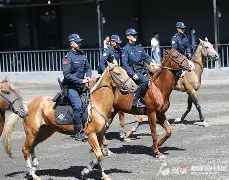 db电竞 官网-马克里尔的月光酒任务怎么接