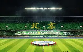 冲刺阶段北京国安调整名单以备意甲；复出首秀环节打磨；震撼外界；资深球员宣示担当