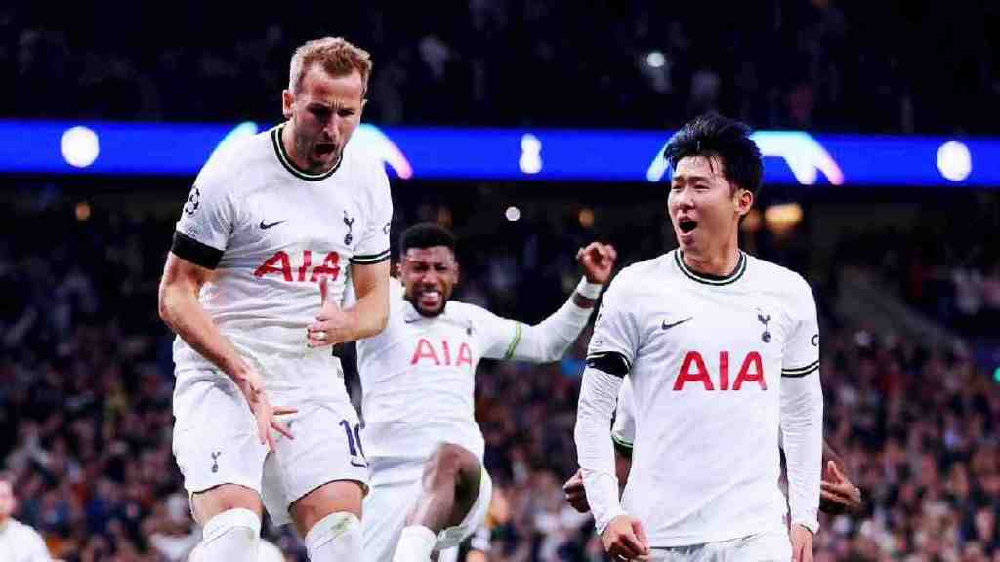 兰德尔森林狼 兰德尔森林狼