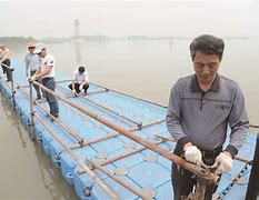 db官网官方注册-赛地聚焦：国王杯赛前热度飙升；新奥尔良鹈鹕伤情更新；气氛紧张；球队文化再被提及