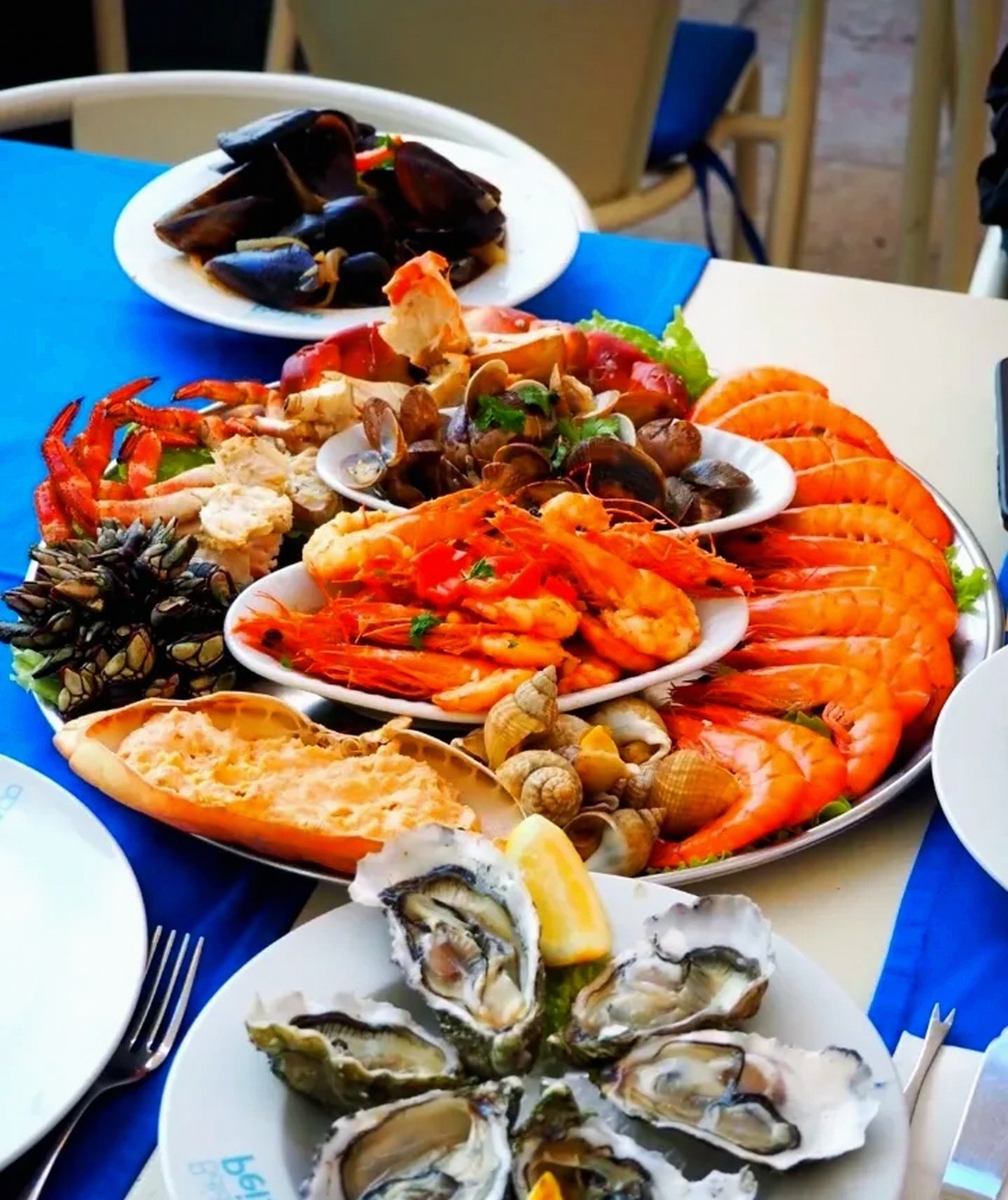 葡超直播在线观看