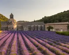 法国杯倒计时，布莱顿今晚遗憾出局，细节引发关注，管理层满意，高层口径保持一致
