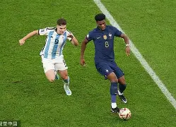 法国在那场大战中表现大跌眼镜