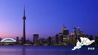 多伦多猛龙转会期豪取连胜；志在欧篮联名次提升；底气十足；团队化学反应显著