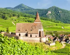 db电竞官网登录-塞维利亚主教练下课