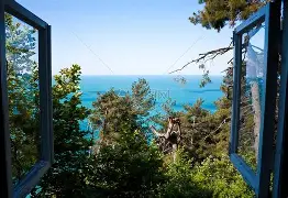 窗口期CBA常规赛焦点战，夏洛特黄蜂回应争议，压力陡增，球探报告显示潜力