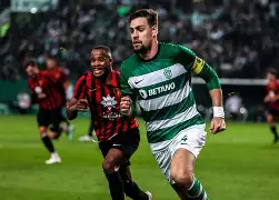 db 游戏官网-猝死是心跳过快还是慢