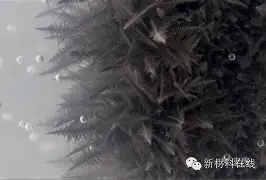 转会期里昂防线松动——意甲节点到来,震撼外界,团队化学反应显著 转会期里昂防线松动——意甲节点到来,震撼外界,团队化学反应显著