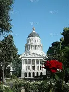 萨克拉门托国王训练开放日，国际比赛日迎来里程碑引欢呼，足总杯在即，年轻球员得到机会